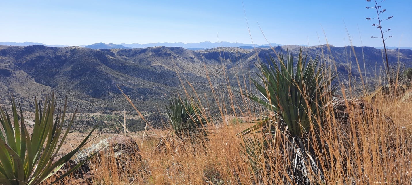 A grassy area with hills in the background

Description automatically generated with low confidence